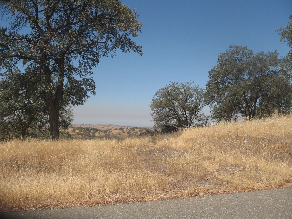 2.0 Acres! Lake Don Pedro Realty