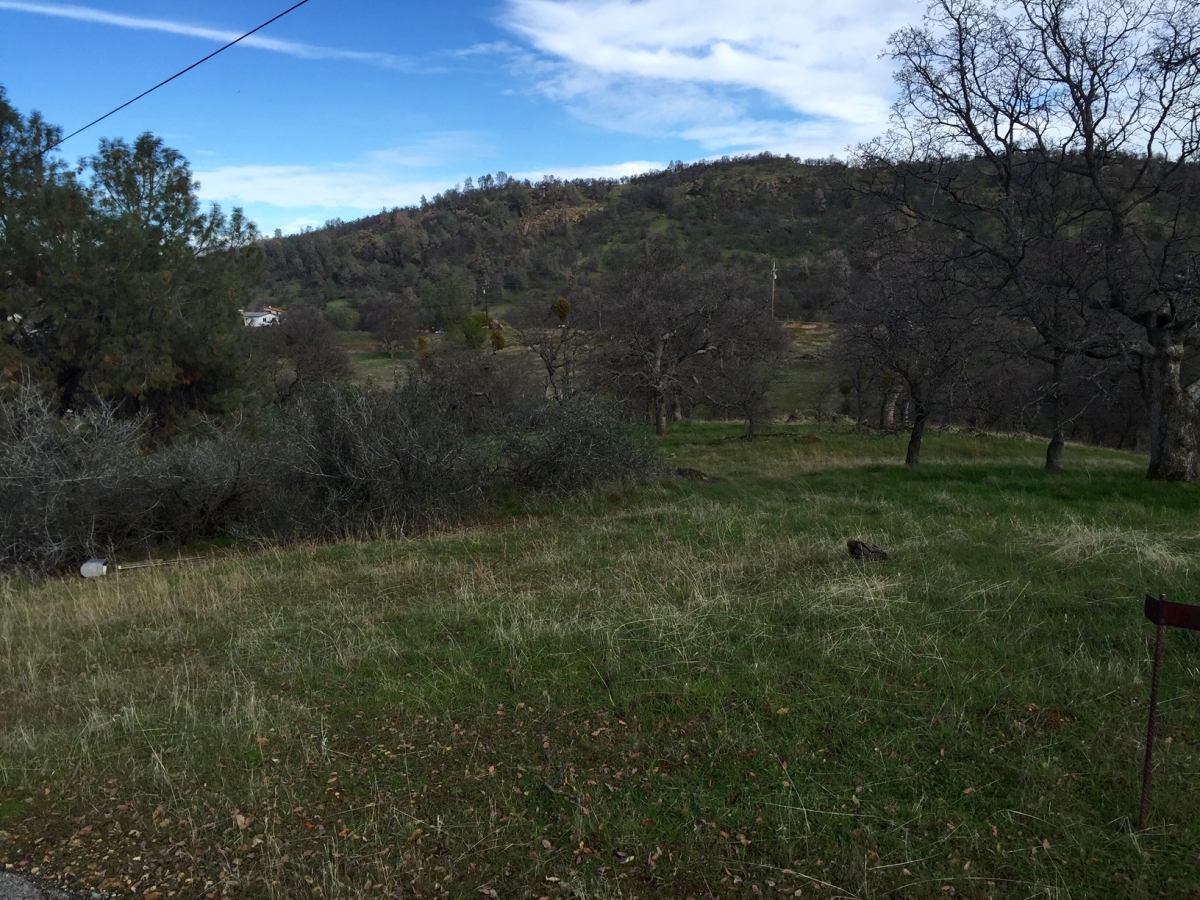 1.5 Acres! Lake Don Pedro Realty