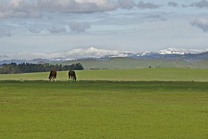 sierras